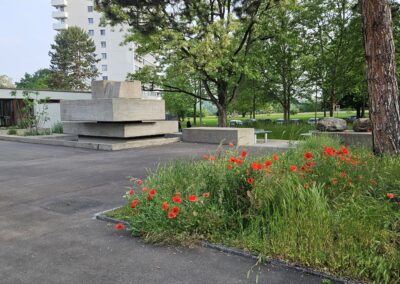 Sekundarschule Birsfelden