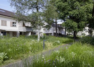 WG Belforterstrasse Basel